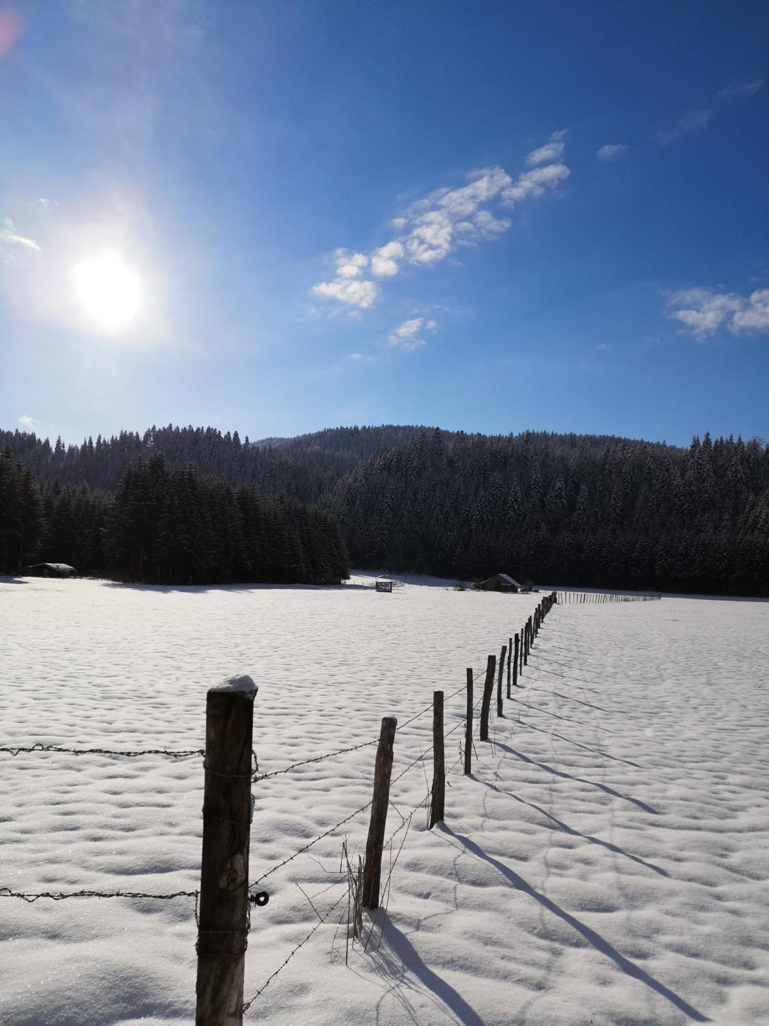 Auberge Du Chateau De Joux La Cluse-et-Mijoux ภายนอก รูปภาพ